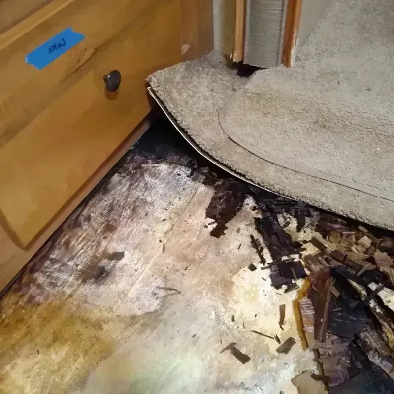 Best Wood Floor Water Damage Service in Goodlettsville, TN